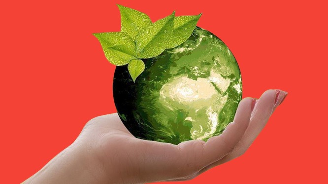 UK-Egypt Climate Partnership: How the British Embassy in Egypt is Leading the Fight Against Climate Change